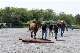 LR-WRF 08022025-Retreat-3369